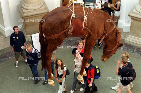 AAE-S-0924cf-f01c - A stuffed horse suspended with straps on the ceiling, by Maurizio Cattelan (1960-) - Date of photography: 15/09/2010 - © ANSA / Alinari Archives