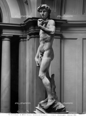 ACA-F-050713-0000 - David, marmo, Michelangelo Buonarroti (1475-1564), Galleria dell'Accademia, Firenze - Data dello scatto: 1954 - Archivi Alinari, Firenze
