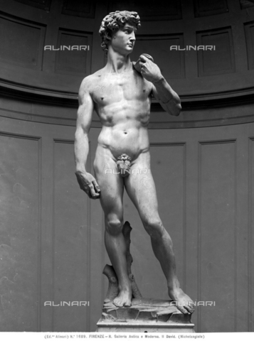 ACA-F-0F1689-0000 - David, marmo, Michelangelo Buonarroti (1475-1564), Galleria dell'Accademia, Firenze - Data dello scatto: 1890 ca. - Archivi Alinari, Firenze