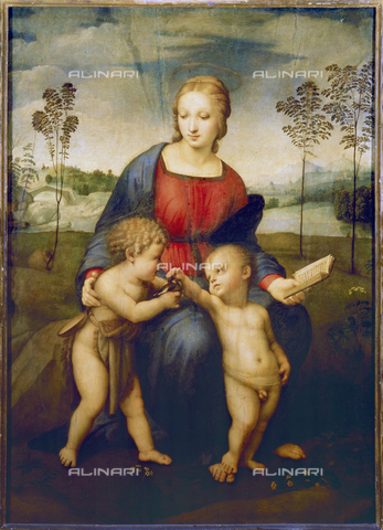 ATK-F-003624-0000 - Madonna del cardellino, olio su tavola, Raffaello Sanzio (1483-1520), Galleria degli Uffizi, Firenze - Joseph S. Martin / Artothek/Archivi Alinari