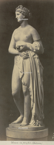 AVQ-A-000089-0014 - Photographic pictures of Rome: statua di Venere - Data dello scatto: 1862 - Archivi Alinari, Firenze