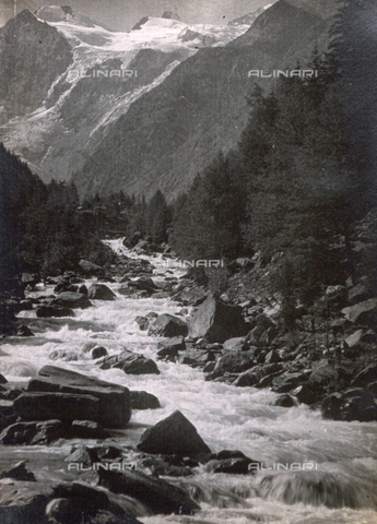 AVQ-A-000205-0018 - Veduta di un torrente montano delimitato da un bosco di abeti - Data dello scatto: 1931 ca. - Archivi Alinari, Firenze