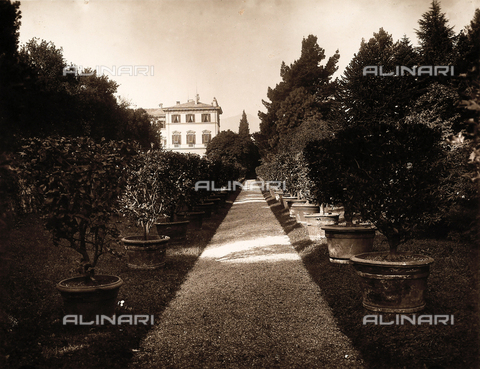 AVQ-A-000443-0031 - Viale del parco di Villa Zina, ex Villa Giulia a Bellagio, sul Lago di Como - Data dello scatto: 1915 ca. - Archivi Alinari, Firenze