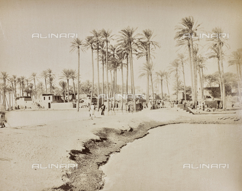 AVQ-A-000523-0021 - Egyptian village - Date of photography: 1880 - 1890 - Alinari Archives, Florence