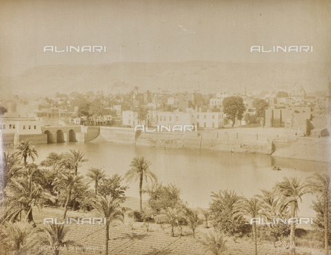 AVQ-A-000523-0033 - View of the city of Assiut on the Nile - Date of photography: 1880 - 1890 - Alinari Archives, Florence