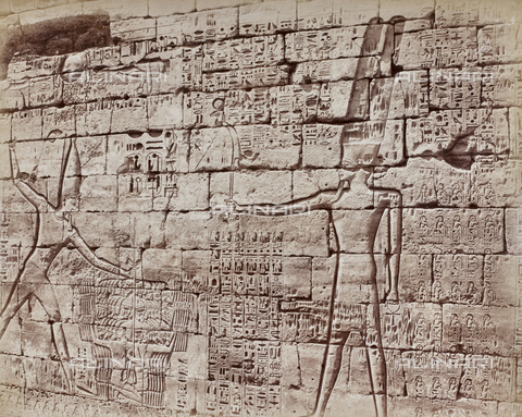 AVQ-A-000523-0046 - Hieroglyphs and Divinity, reliefs on the wall of the temple of Karnak, Egypt - Date of photography: 1880 - 1890 - Alinari Archives, Florence