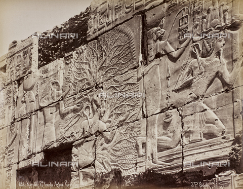 AVQ-A-000523-0047 - Tree and divinity, reliefs on the wall of the temple of Karnak, Egypt - Date of photography: 1880 - 1890 - Alinari Archives, Florence