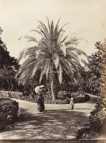 AVQ-A-000570-0043 - Animated view of the Park d'Orléans in Palermo - Date of photography: 1900 ca. - Alinari Archives, Florence