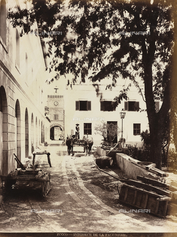 AVQ-A-000570-0049 - The farm Zucco, in the neighbourhood of Palermo - Date of photography: 1900 ca. - Alinari Archives, Florence