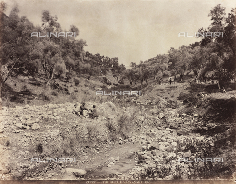 AVQ-A-000570-0052 - Animated view of the countryside near Palermo - Date of photography: 1900 ca. - Alinari Archives, Florence