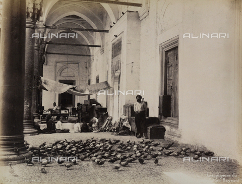 AVQ-A-000895-0018 - I piccioni del sultano Bayasid - Data dello scatto: 1870-1880 - Archivi Alinari, Firenze