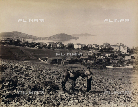 AVQ-A-000895-0028 - Giovane contadino delle isole dei Principi in Turchia - Data dello scatto: 1870-1880 - Archivi Alinari, Firenze