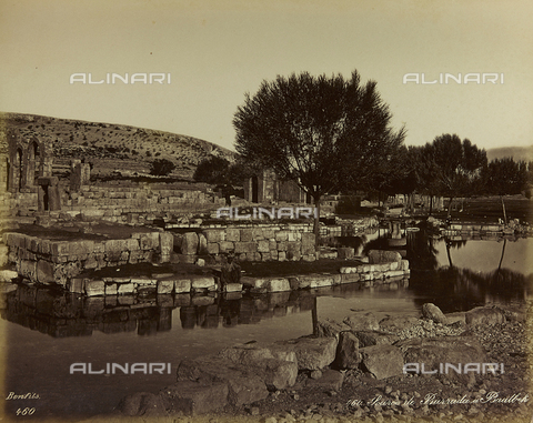 AVQ-A-001581-0032 - Album " Damas et Baalbek ": Source of the river Barada in Baalbek (Heliopolis) - Date of photography: 1880 ca. - Alinari Archives, Florence