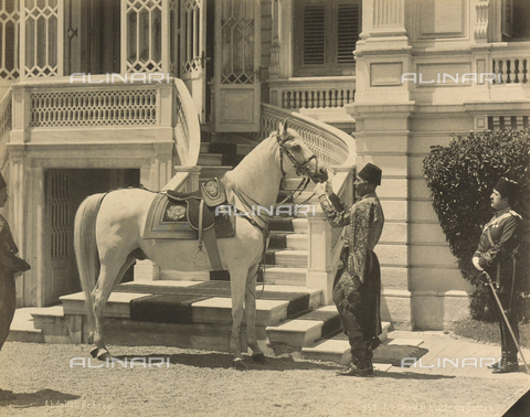 AVQ-A-001826-0028 - "Souvenir de Costantinople": cavallo bianco del Sultano - Data dello scatto: 1860-1890 ca. - Archivi Alinari, Firenze