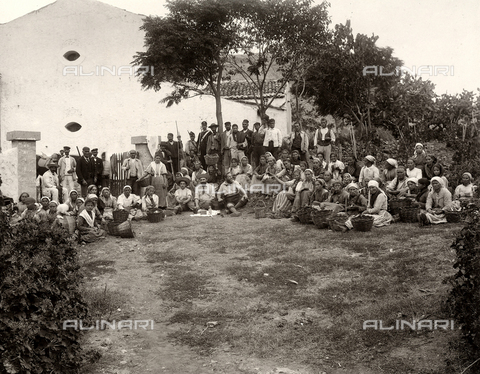 AVQ-A-003698-0017 - Group portrait of farmers photographed during their break at the farm "Lo Zucco" in Sicily, property of Roberto Luigi Filippo d'Orleans - Date of photography: 1900 - Alinari Archives, Florence