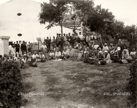 AVQ-A-003698-0018 - Group portrait of farmers photographed during their break at the farm "Lo Zucco" in Sicily, property of Roberto Luigi Filippo d'Orleans - Date of photography: 1900 - Alinari Archives, Florence