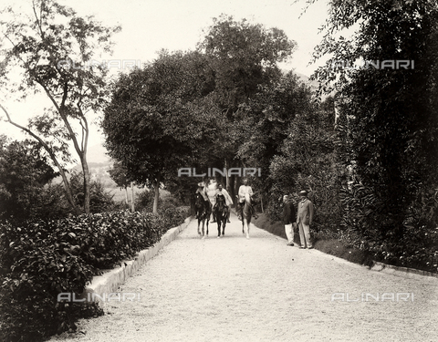 AVQ-A-003698-0022 - Roberto Luigi Filippo d'Orleans on horseback, and in the company of other men, on an avenue of his farm "Lo Zucco" in Sicily - Date of photography: 1900 - Alinari Archives, Florence