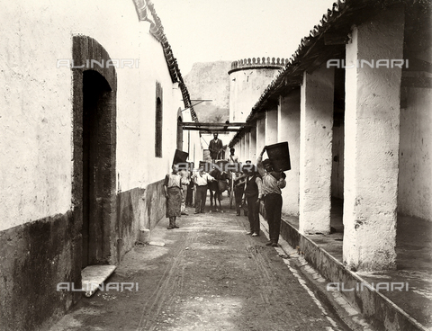 AVQ-A-003698-0028 - Farmers at work at the farm "Lo Zucco" in Sicily, property of Roberto Luigi Filippo d'Orleans - Date of photography: 1900 - Alinari Archives, Florence