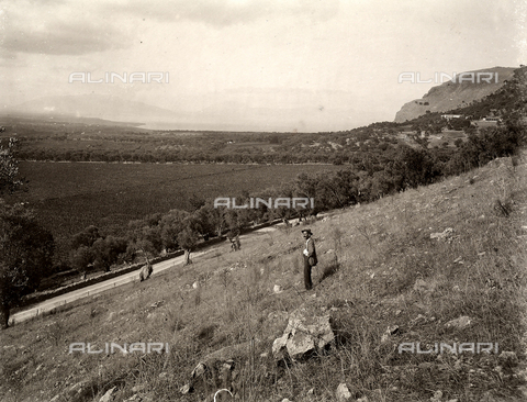 AVQ-A-003698-0054 - Vineyards of the farm "Lo Zucco" in Sicily, property of Roberto Luigi Filippo d'Orleans - Date of photography: 1900 - Alinari Archives, Florence