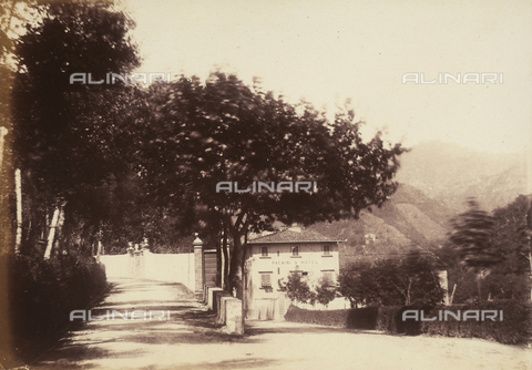 AVQ-A-003862-0087 - Viale alberato a Bagni di Lucca, località Toscana nei pressi di Lucca - Data dello scatto: 1865 ca. - Archivi Alinari, Firenze