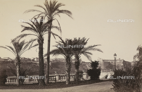 AVQ-A-003921-0027 - Giardini a Cannes - Data dello scatto: 1875 ca. - Archivi Alinari, Firenze