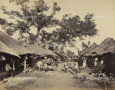 AVQ-A-004121-0007 - Tipici bazar nella periferia di Calcutta, in India - Data dello scatto: 1863-1870 ca. - Archivi Alinari, Firenze