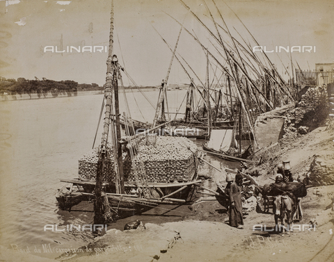 AVQ-A-004496-0051 - Boats laden with pots and gargoulettes (pitchers) on the bank of the Nile - Date of photography: 1890 ca. - Alinari Archives, Florence