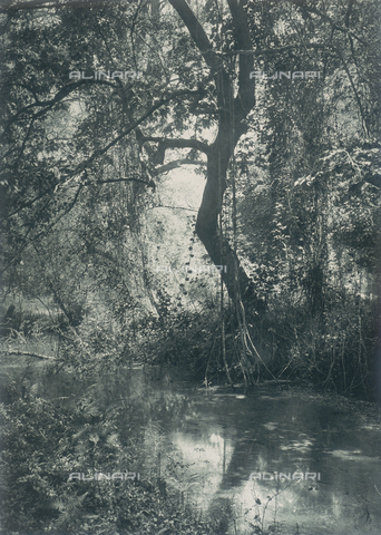 BAF-A-004894-096A - "En Grèce par monts et par vaux": la valle di Tembi in Tessaglia - Data dello scatto: 1903-1910 - Archivi Alinari, Firenze