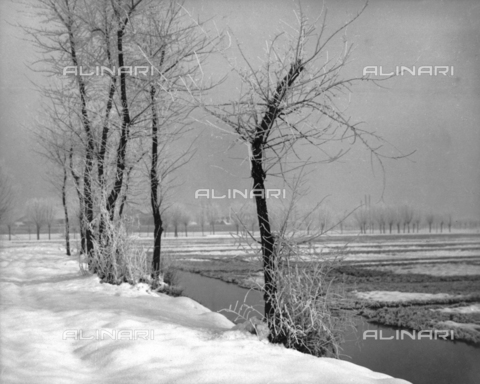 BCA-F-000208-0000 - Paesaggio Invernale - Data dello scatto: 1930-1940 - Archivi Alinari, Firenze
