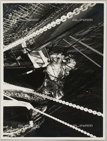 BMD-A-000001-0058 - From the album 'Regia Nave Scuola "Amerigo Vespucci"': the figurehead on the bow of the ship - Date of photography: 1938 ca. - Alinari Archives, Florence