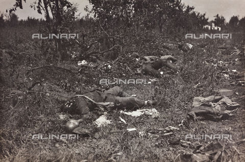 BMD-F-001016-0000 - First World War: the bodies of soldiers - Date of photography: 1915-1918 - Alinari Archives, Florence