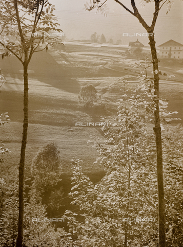 CGD-F-000319-0000 - Paesaggio campestre - Data dello scatto: 1955-1965 - Archivi Alinari-archivio Corinaldi, Firenze