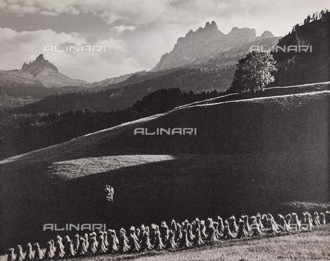 CGD-F-000975-0000 - Covoni e montagne - Data dello scatto: 1955-1965 - Archivi Alinari-archivio Corinaldi, Firenze