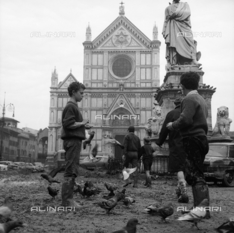 DAA-S-085005-0001 - Alluvione di Firenze del 4 novembre 1966: bambini e piccioni nel fango di piazza Santa Croce - Data dello scatto: 06/11/1966 - Dufoto / Archivi Alinari