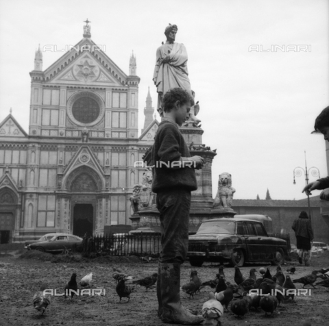 DAA-S-085005-0005 - Alluvione di Firenze del 4 novembre 1966: bambini e piccioni nel fango di piazza Santa Croce - Data dello scatto: 06/11/1966 - Dufoto / Archivi Alinari