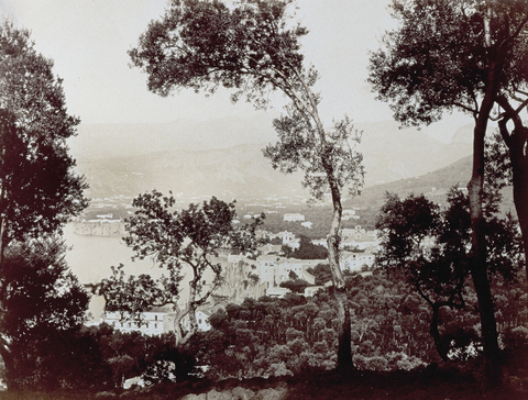 FBQ-A-006171-0021 - Scorcio di Sorrento ripreso tra gli alberi - Data dello scatto: 1860-1880 ca. - Archivi Alinari, Firenze