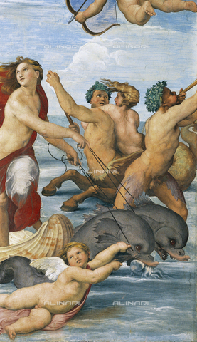 FCP-S-FAR000-0115 - Galatea, particolare, Raffaello (1483-1520), secondo riquadro da sud, Loggia di Galatea, lato ovest, piano terreno, Villa la Farnesina, Roma - Data dello scatto: 2003 - Franco Cosimo Panini Editore © su licenza Fratelli Alinari