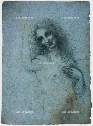 FIA-F-039956-0000 - Angelo incarnato, gessetto su carta, Leonardo da Vinci (1452-1519), Collezione Privata - Fine Art Images/Archivi Alinari, Firenze