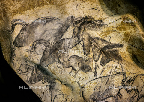 FIA-F-051994-0000 - Bisonti, cavalli e rinoceronti, carboncino, ocra rossa, arte del Paleolitico superiore, grotta Chauvet - Fine Art Images/Archivi Alinari, Firenze