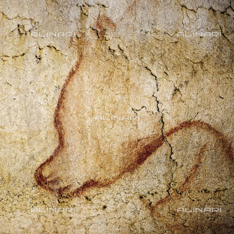 FIA-F-051996-0000 - Orso, carboncino, ocra rossa, arte del Paleolitico superiore, grotta Chauvet - Fine Art Images/Archivi Alinari, Firenze