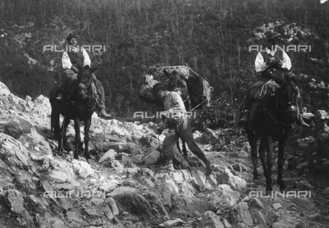 FVD-S-006542-00B3 - "Cavallanti", contadini su muli - Data dello scatto: 1895-1910 - Donazione Biondi / Archivi Alinari, Firenze