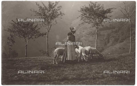 FVD-S-006542-00E9 - Pastora con gregge, Campania - Data dello scatto: 1895-1910 - Donazione Biondi / Archivi Alinari, Firenze