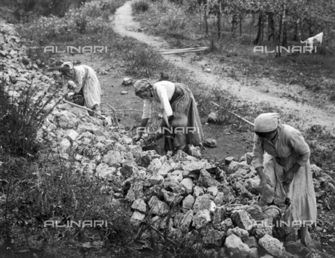FVD-S-006542-0B15 - Donne che sistemano un muro di pietre - Data dello scatto: 1895-1910 - Donazione Biondi / Archivi Alinari, Firenze