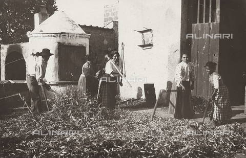 FVD-S-006542-0B25 - Contadini che battono il grano - Data dello scatto: 1895-1910 - Donazione Biondi / Archivi Alinari, Firenze