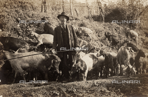 FVD-S-006542-0B28 - Pastore e capre - Data dello scatto: 1895-1910 - Donazione Biondi / Archivi Alinari, Firenze