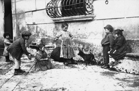 FVD-S-006542-0B44 - Bambini che giocano con un cane - Data dello scatto: 1895-1910 - Donazione Biondi / Archivi Alinari, Firenze