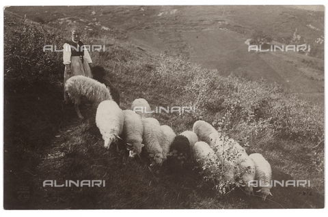 FVD-S-006542-0E14 - Pastora con gregge - Data dello scatto: 1895-1910 - Donazione Biondi / Archivi Alinari, Firenze