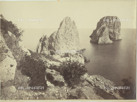 FVQ-F-033573-0000 - I faraglioni di Capri - Data dello scatto: 1870-1880 - Archivi Alinari, Firenze