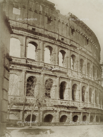 FVQ-F-034241-0000 - Il Colosseo, Roma - Data dello scatto: 1853 ca. - Archivi Alinari, Firenze