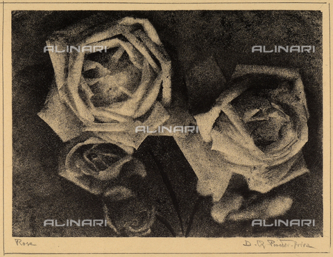 FVQ-F-035018-0000 - Fotografia ravvicinata di quattro rose, scattata da Peretti-Griva, di grande effetto artistico per la sgranatura dell'immagine in cui i fiori chiari tendono a confondersi con l'ombra che fa da sfondo - Data dello scatto: 1925 - 1935 ca. - Archivi Alinari, Firenze